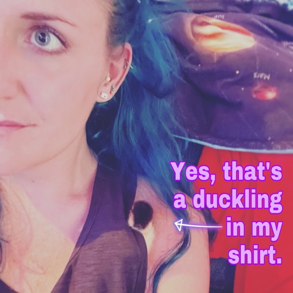 Welcome to My Closet! - Picture 2 of 6